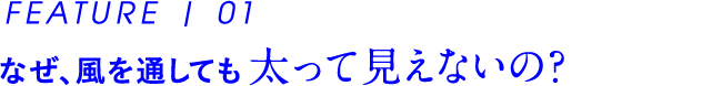 なぜ、風を通しても 太って見えないの？