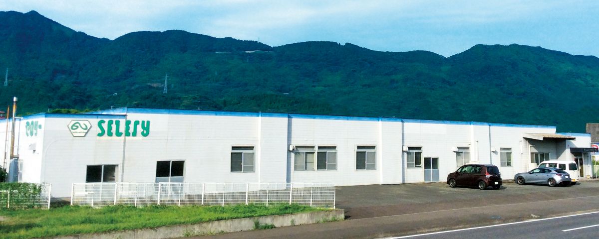 企業情報