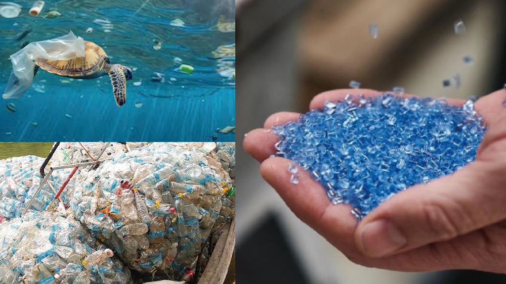 プラスチック削減イメージ写真