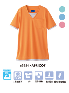 65384・APRICOT