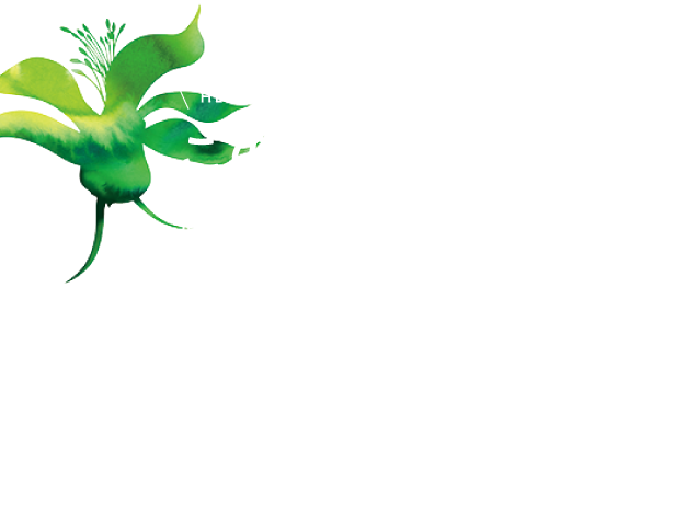 あの人を目で追う理由